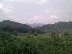 The dramatic, forested hills of Chiapas, South Mexico
