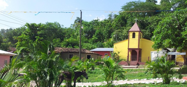 San Juan – Indigenous Farming Cooperative’s Defiant Stance against Land-grabbing & Murder