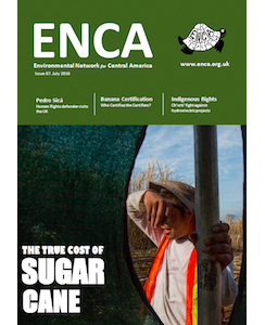 ENCA 67: The True Cost of Sugar Cane
