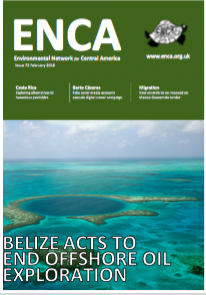 Newsletter 72