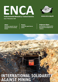 Newsletter 77