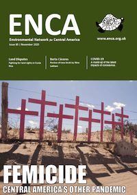 Newsletter 80
