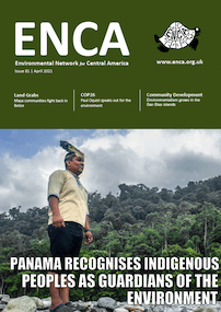 Newsletter 81