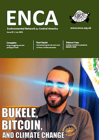 Newsletter 82