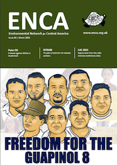 Newsletter 84