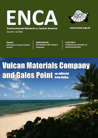 Newsletter 85