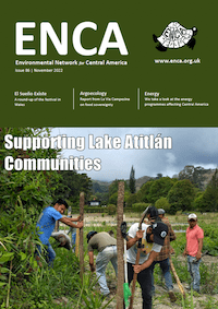 Newsletter 86